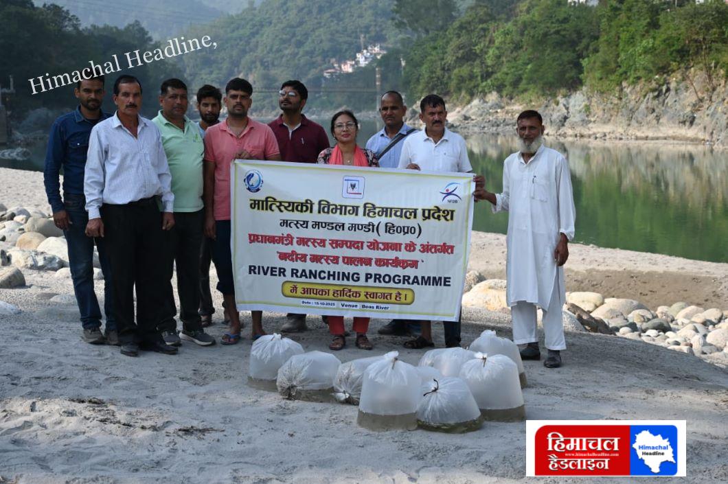 नदीय मत्स्य संसाधनों के संरक्षण को बढ़ावा मंडी जिला की नदियों में 1.33 लाख मत्स्य अंगुलिकाओं का संचयन