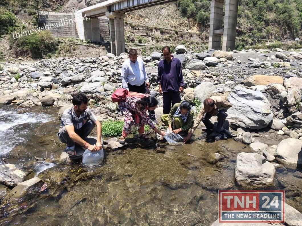 Stocking of 5,000 large-sized Mahseer fish seeds in the Uhl River.
